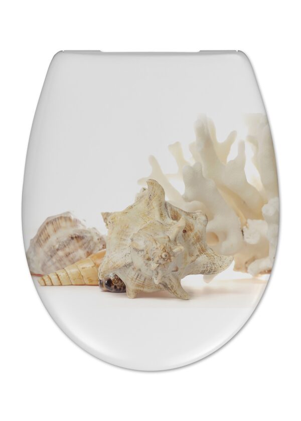 Cedo Shell Toiletzitting/siège wc Multi 163812