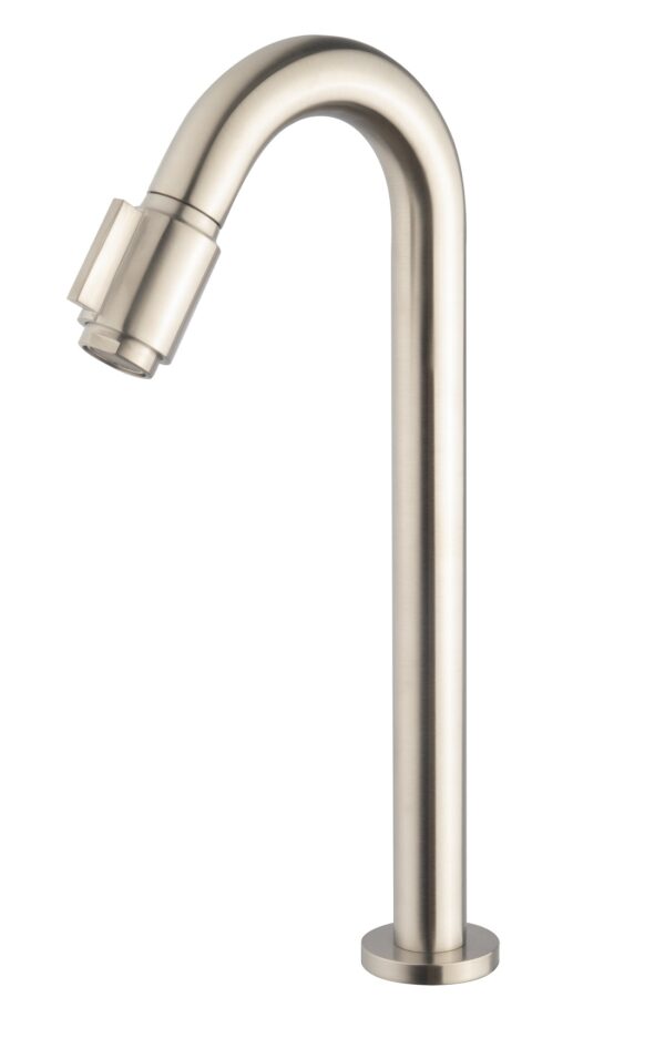 Caral Victoria fonteinkraan XL 1/2'' geborsteld staal PVD 223772