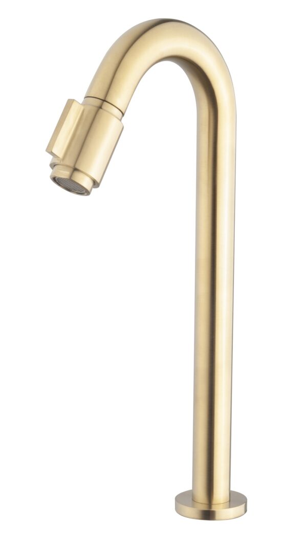 Caral Victoria fonteinkraan XL 1/2'' geborsteld messing PVD 223774