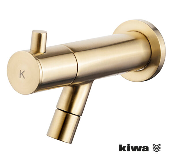 Amador fonteinkraan met muurbevestiging Kiwa 1/2'' geborsteld messing PVD 225722