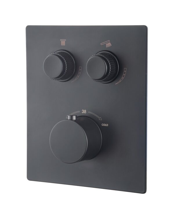 Caral Klik Pro afbouwdeel inbouwthermostaat 2 weg mat zwart 293422