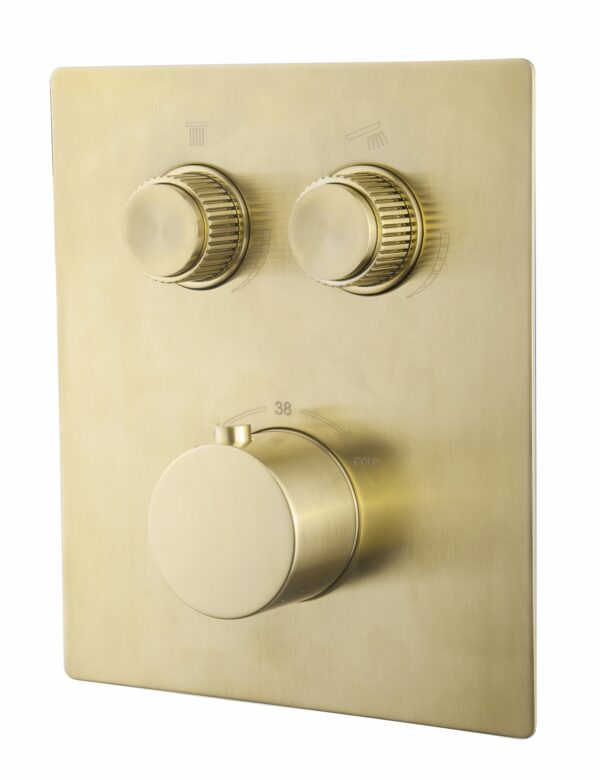 Caral Klik Pro afbouwdeel inbouwthermostaat 2 weg geborsteld messing PVD 293424
