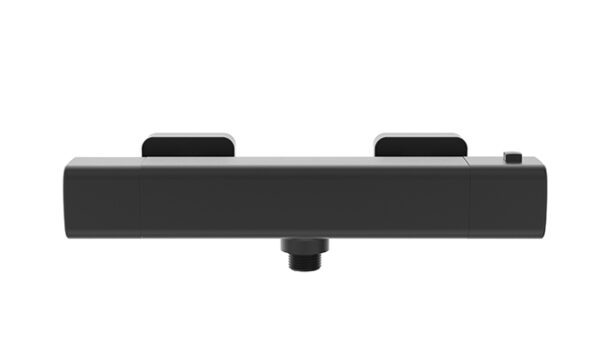 Rain thermostatische douchemengkraan mat zwart 293610