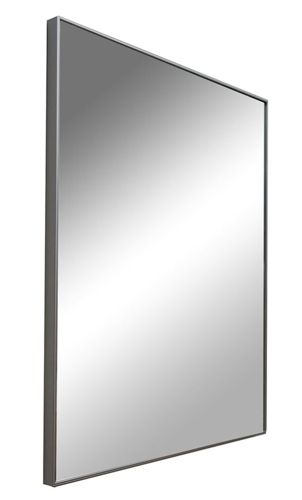 Fina spiegel rechthoek met lijst 50 x 60 x 2.1 cm aluminium 383830