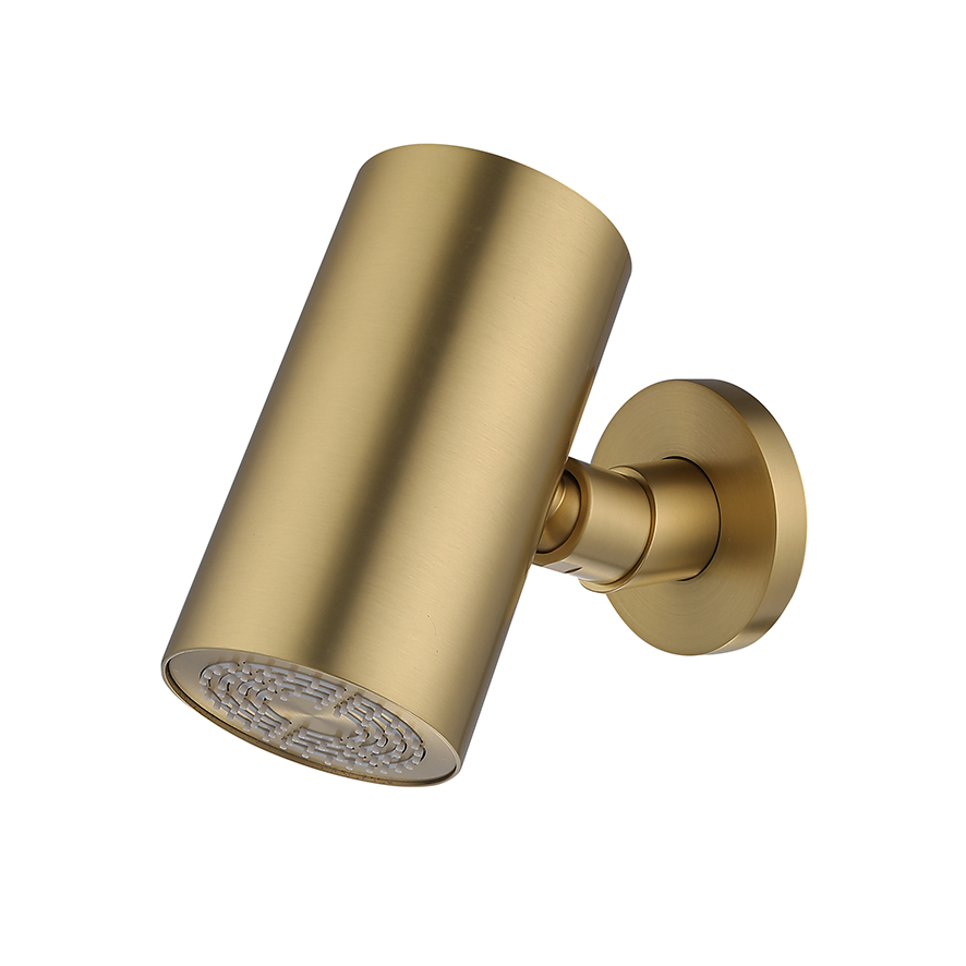Productfoto UniMatch Beam hoofddouche rond 1 stand met muurbevestiging geborsteld messing PVD 297823