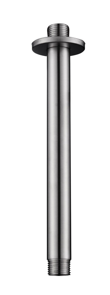 Productfoto 304 douchearm met plafondbevestiging rond 20 cm geborsteld RVS 243810