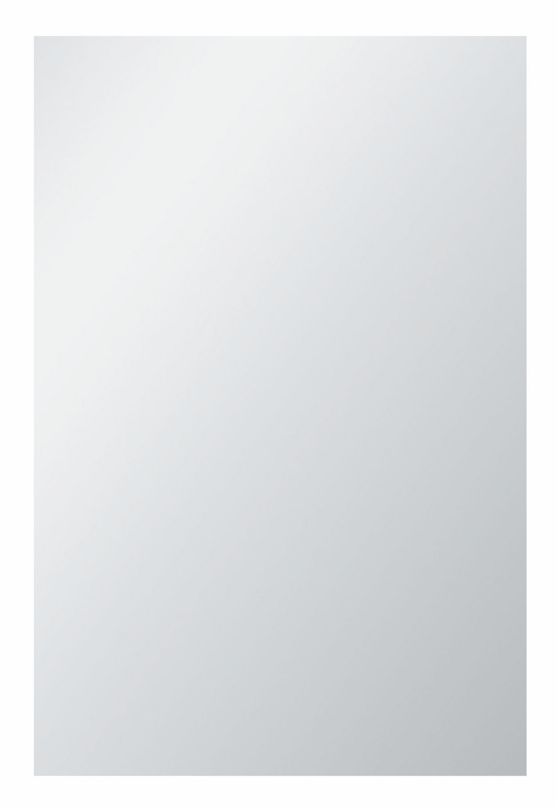 Productfoto Spiegel zonder lijst rechthoek 60 x 40 x 0.5 cm 313653